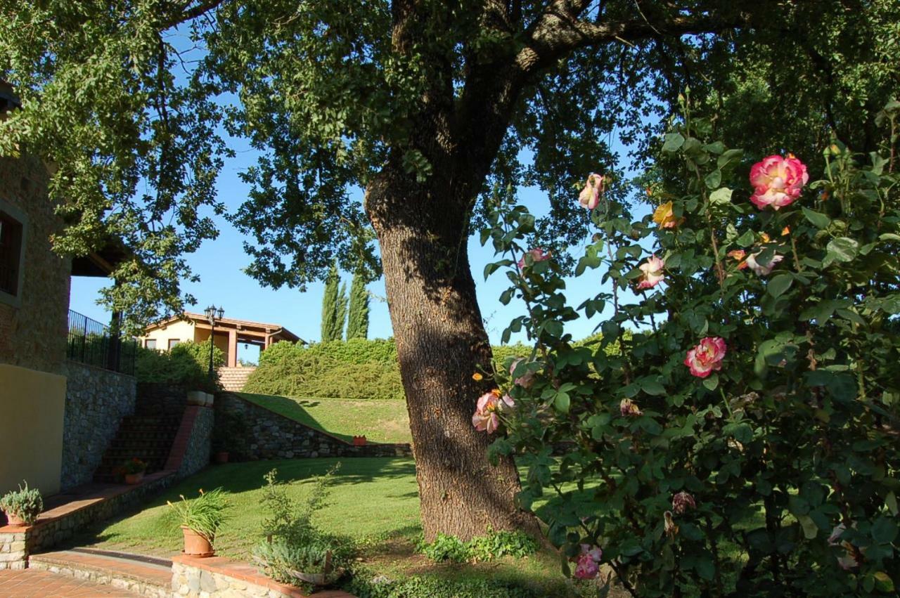 Agriturismo Il Palazzo Pergine Valdarno Exterior photo